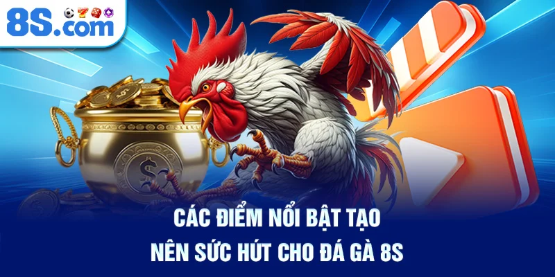 Các Điểm Nổi Bật Tạo Nên Sức Hút Cho Đá Gà 8S
