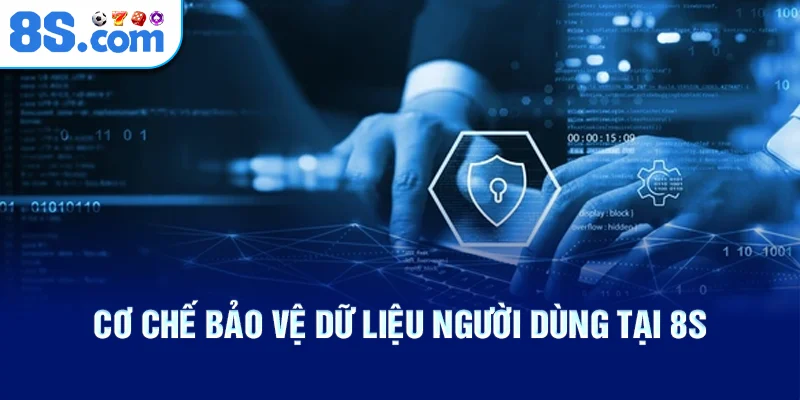 Cơ Chế Bảo Vệ Dữ Liệu Người Dùng Tại 8S
