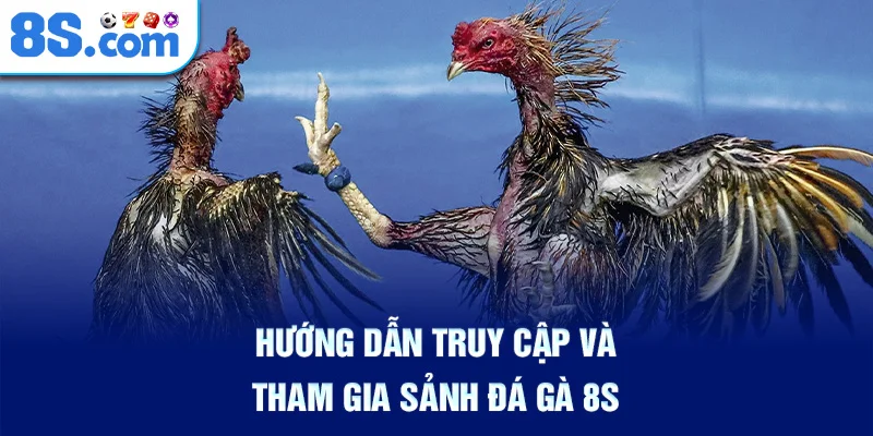 Hướng Dẫn Truy Cập Và Tham Gia Sảnh Đá Gà 8S