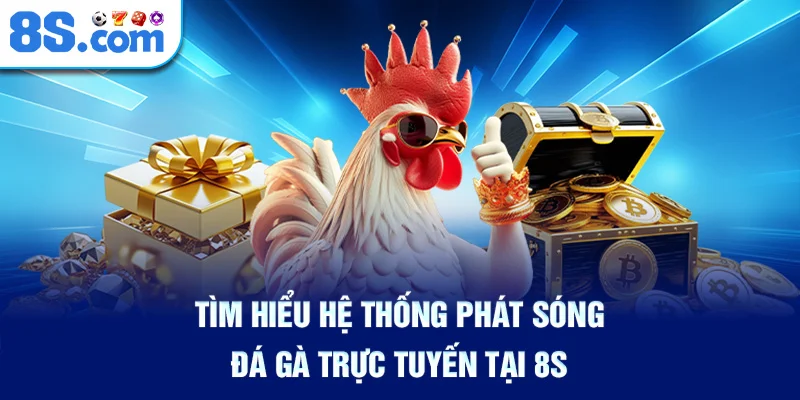 Tìm Hiểu Hệ Thống Phát Sóng Đá Gà Trực Tuyến Tại 8S